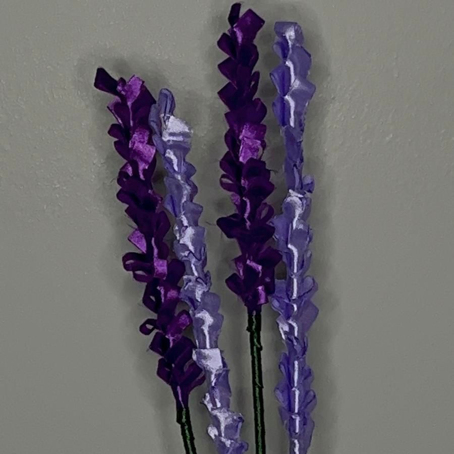 Lavanda