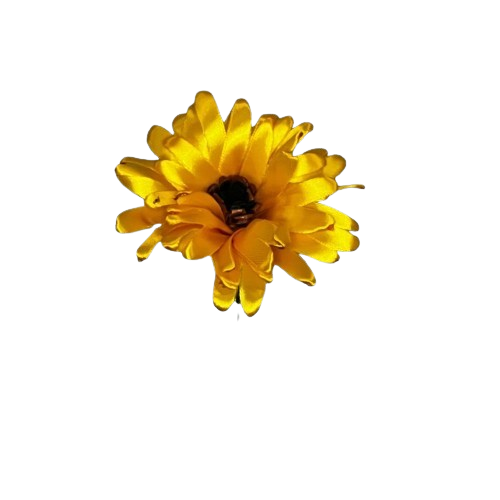 Gerbera